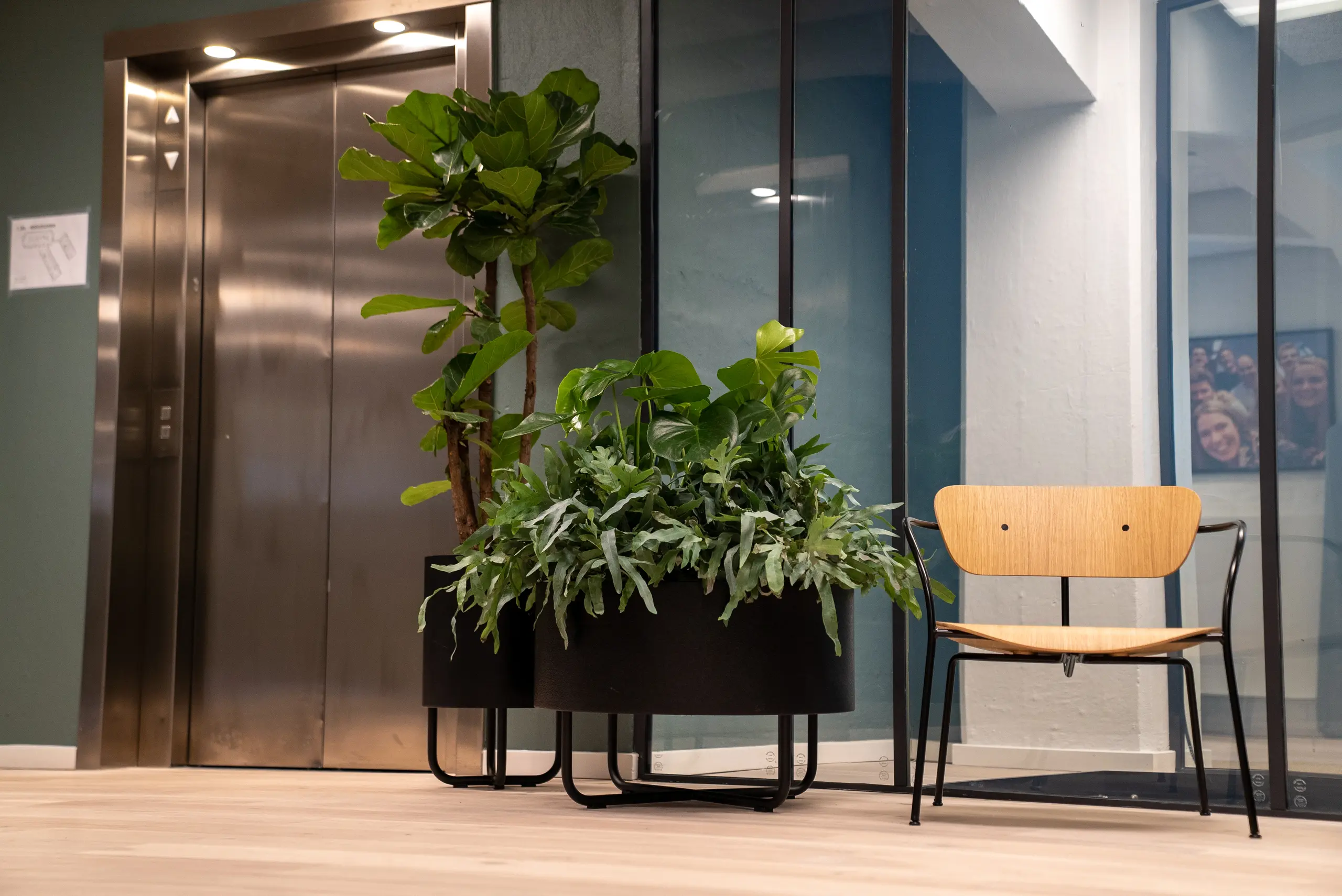 Kontorbeplantning 5 DSC04282