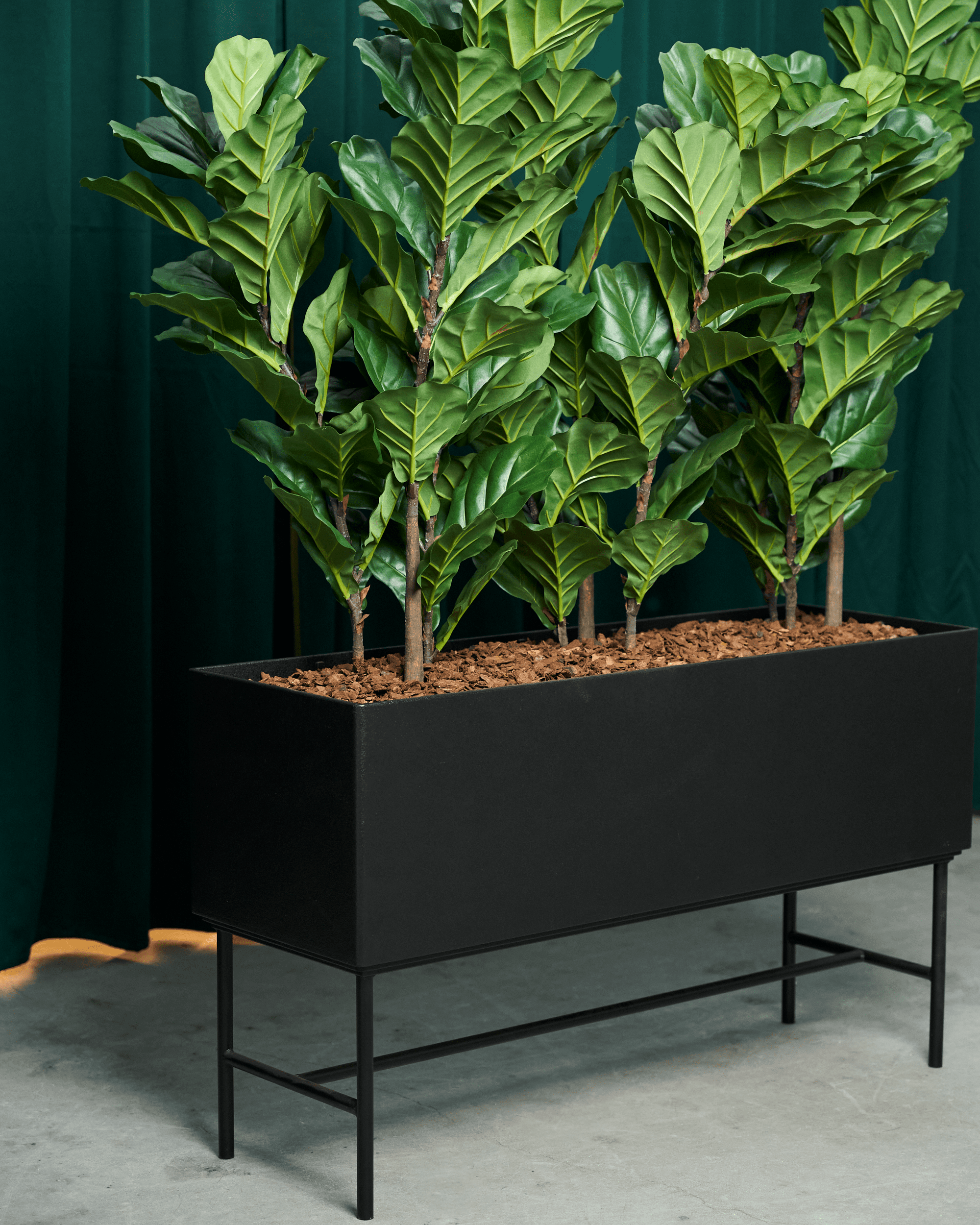 Kontorbeplantning 2 DSC05430