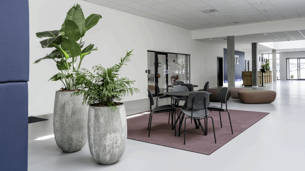 FTZ 6 FTZ indoor store krukker og planter