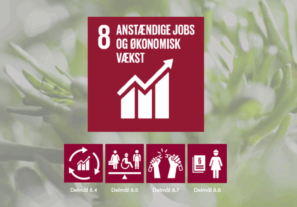 FN's Verdensmål 2 Verdensmal 8 1 2