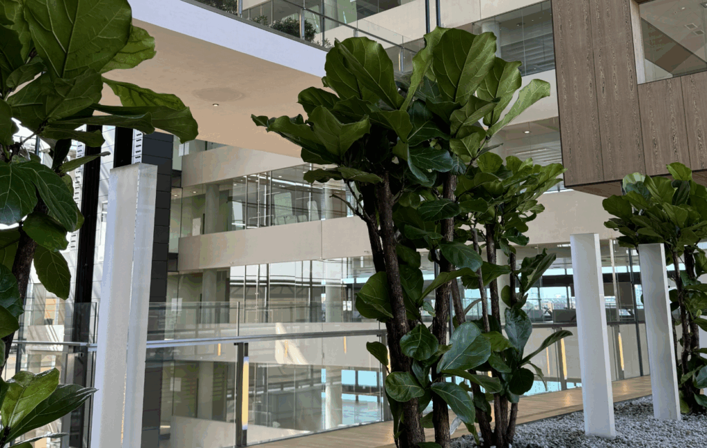 Krukker i genanvendt plast 2 Indoor Jyske Bank